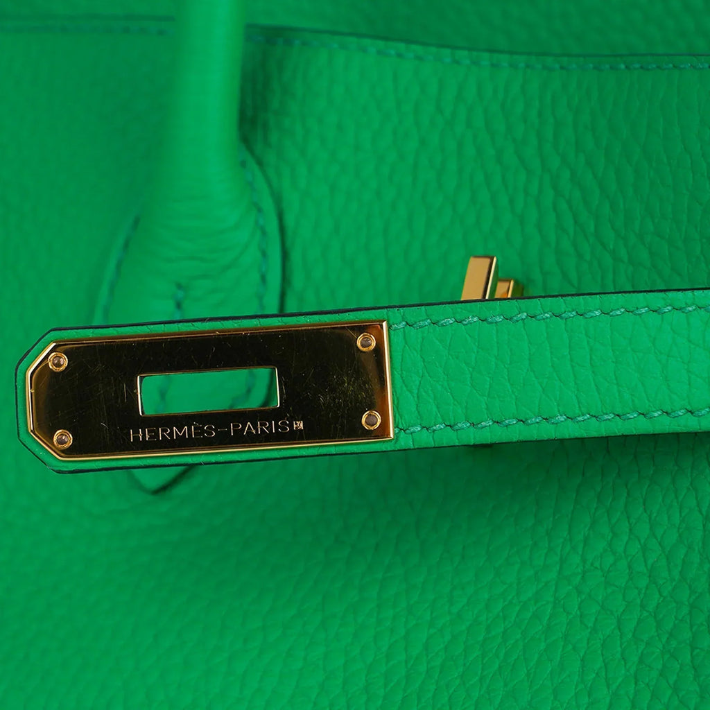 Birkin 35 Bag Bamboo Togo Leather with Gold Hardware